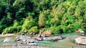 %best resort in lansdowne%