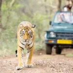 %Resort In Lansdowne% %7 hills 9911125253% Kalagarh Tiger Reserve Lansdowne